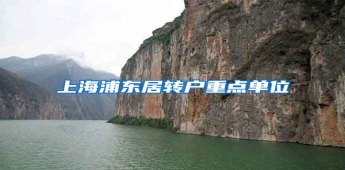 上海浦东居转户重点单位